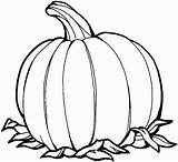 Free Printable Pumpkin Coloring Pages For Kids sketch template