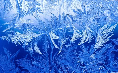 4 Ice HD Wallpapers | Background Images - Wallpaper Abyss