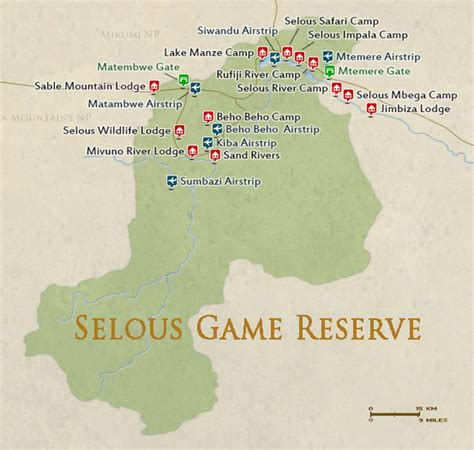 Selous Game Reserve Lions | Paramount Safaris