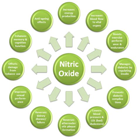 African Fly | How Nitric Oxide from African Fly Makes You Bigger & Healthier