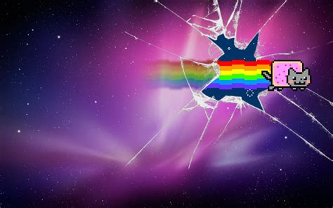 Rainbow pet digital wallpaper, furry, Nyan Cat, broken glass HD ...