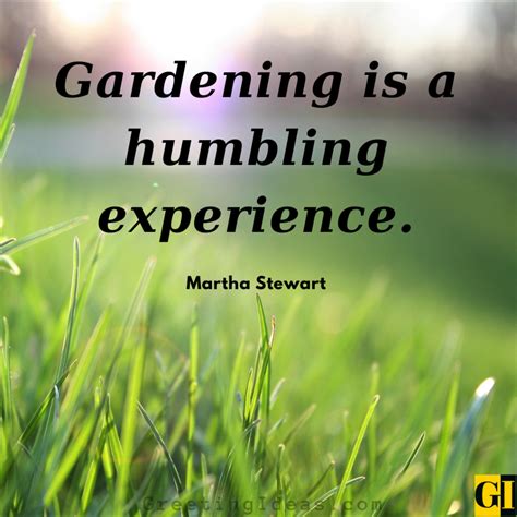 60 Inspiring Landscaping Quotes For Creative Gardening