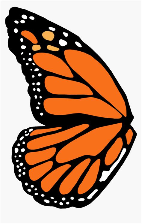 Monarch Butterfly Wing Template, HD Png Download , Transparent Png ...