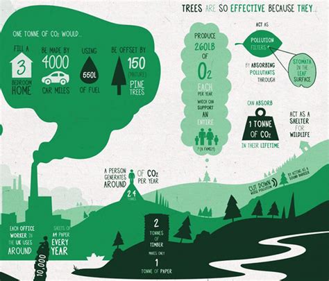 Infographic Tree Facts - corruptedcand-y