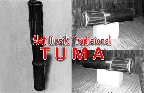 Fungsi Alat Musik Tradisional Tuma Kalimantan Barat - Tabriiz.id