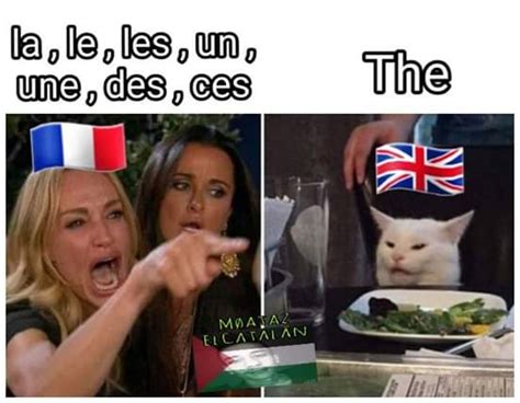 Vive la France hehehehe : r/memes