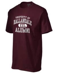 Hallandale High School Alumni & Friends Association, Inc.