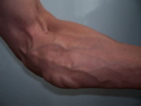 Vascular Bodybuilding Muscle Stop!: Ripped Forearm