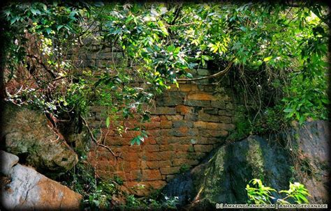 Dambadeniya Kingdom and Palace Complex | AmazingLanka.com