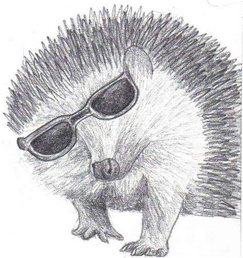 hedgehog 2 by RachelsPetPortraits on DeviantArt | Hedgehog drawing, Hedgehog, Drawings