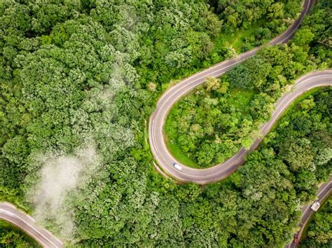 Winding Road in the Forest Viewed from Above. Aerial Shot of a T Stock ...