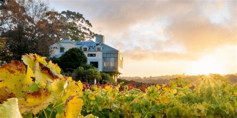 Hahndorf Hill Winery - Hahndorf