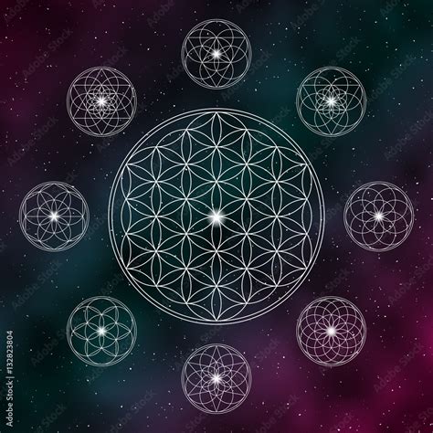 Sacred Geometry Flower | Best Flower Site