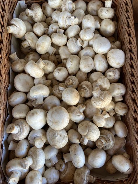 Button Mushrooms - 250g - Perryhill Orchards