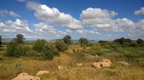 Israel Nature editorial photo. Image of landscape, grass - 89574651