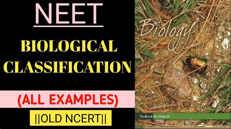 BIOLOGICAL Classification All NCERT Examples / Quick Revision Series 02 - YouTube