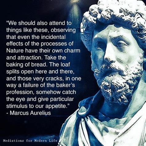 Marcus Aurelius Meditations for Modern Life - what do you think of this ...