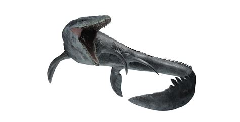 Mosasaurus Png Transparent Layers