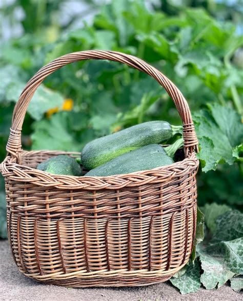 Premium Photo | Harvest organic vegetable fresh vegetables in a basket ...