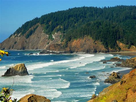 Ecola State Park (Cannon Beach) - All You Need to Know BEFORE You Go