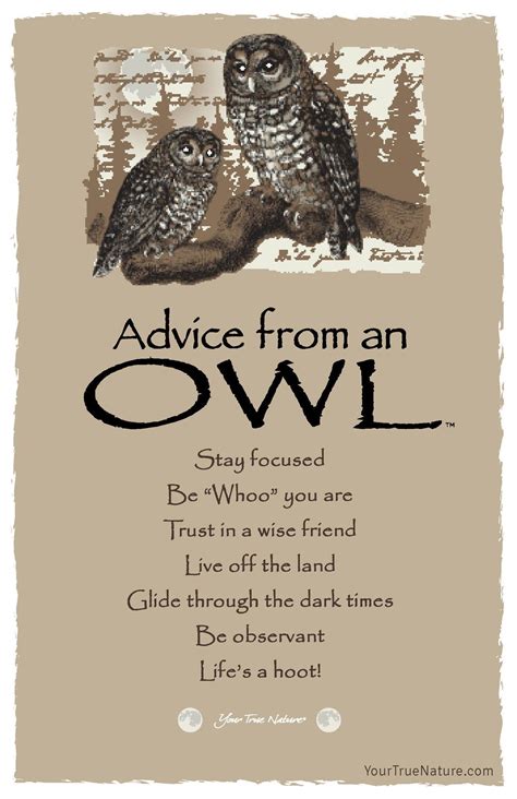 Bookmark : Advice from the Moon – Your True Nature, Inc. | Card art, Advice, Native american wisdom