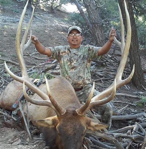 Raging Point Outfitters LLC Bull Elk Photo Gallery