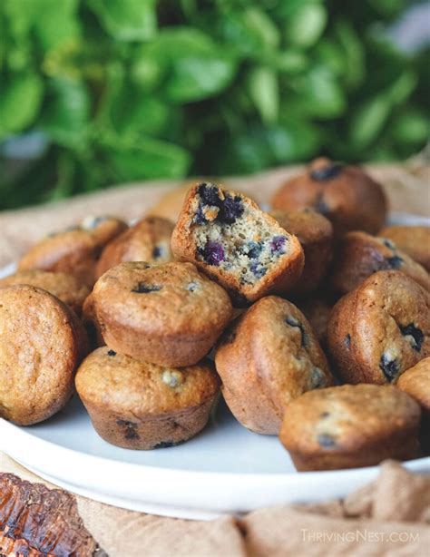 Easy Blueberry Muffins | Baby 6 months+ Allergy Friendly Options ...