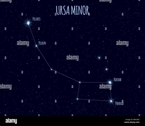 Ursa Minor (Little Bear, Little Dipper) constellation, vector illustration with the names of ...