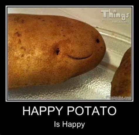 Happy Potato | Things with faces, Food humor, Cute potato