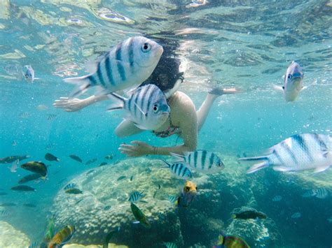 Snorkeling in Malaysia, Perhentian Islands - Sommertage