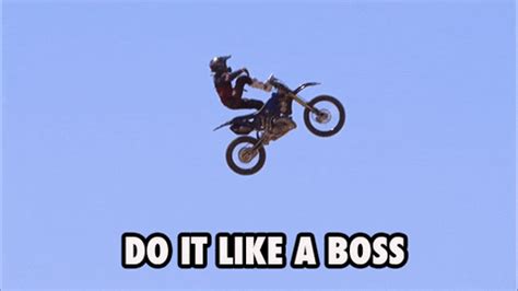 Gifs Like a Boss - Get the Best GIFs on GIFSEC