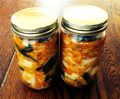 Kimchi probiotic strains investigated for health benefits ...