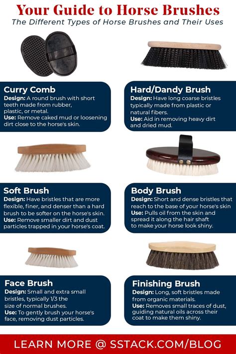 Your Ultimate Guide to Horse Brushes Horse Grooming Supplies, Horse ...