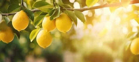 Premium AI Image | lemon tree branch