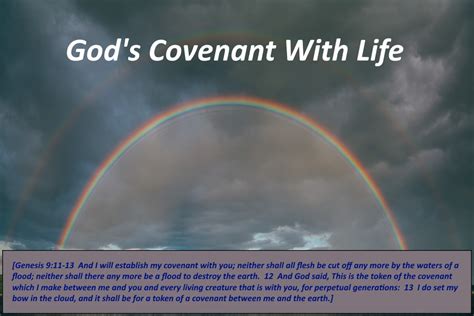 God’s Covenant With Life – I'm Following Jesus