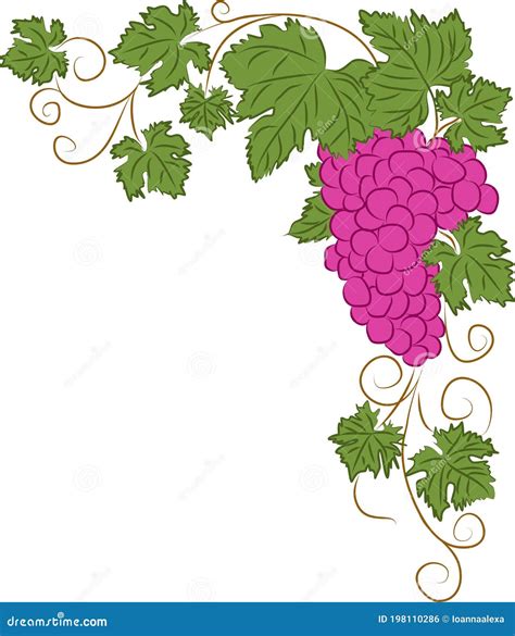 Grapes Clipart Cartoon With Vine And Leaves. Purple Grapevine. | CartoonDealer.com #120591389