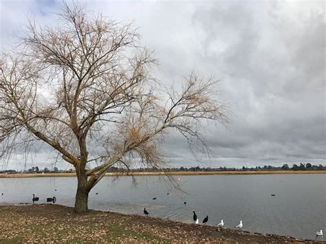 Lake Wendouree (Ballarat, Australia): Top Tips Before You Go (with Photos) - TripAdvisor