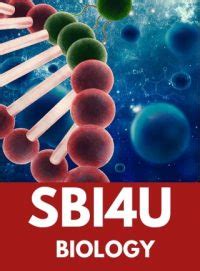 SBI4U | Grade 12 Biology | Online Course | OVS