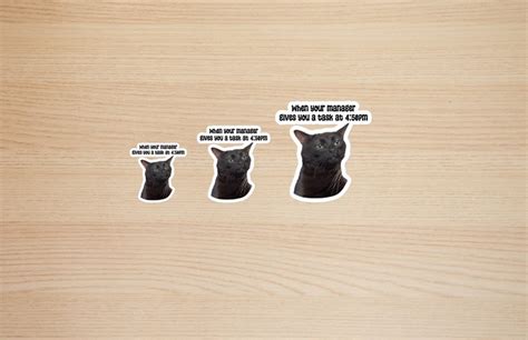 Black Zoning Out Cat Meme Sticker Funny Popular Trending Memes - Etsy