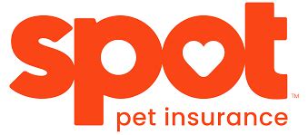 Spot Pet Insurance Review 2024: Pros and Cons - NerdWallet