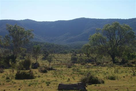 Bunya Mountains 3 Free Photo Download | FreeImages