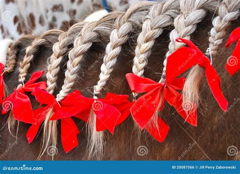 Braided Horse Mane With Red Bows Stock Photo - Image: 20087566