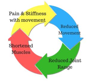 Exploring Joint Stiffness: Causes & Remedies | inline physio