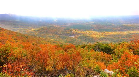 Cheaha State Park feeling the drought | Cleburne County | annistonstar.com