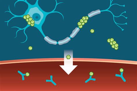 tau protein – NIH Director's Blog