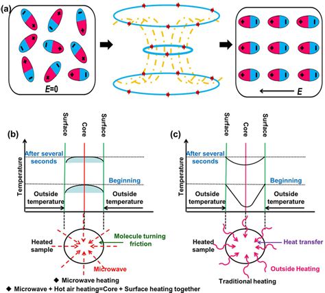 Mechanism of microwave heating (a), (b), and traditional heating (c ...