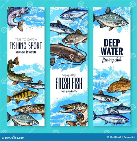 Fresh Fish Banner For Seafood And Fishing Design Stock Vector - Illustration of catfish, carp ...