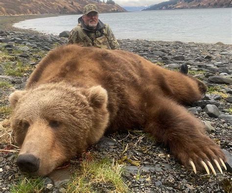 KODIAK BEAR HUNTS | Hunt Alaska Outfitters