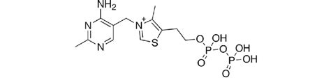 6: Chemical structure of thiamine pyrophosphate. From left to right:... | Download Scientific ...