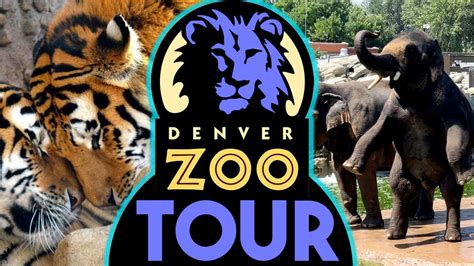 Denver Zoo Tour - YouTube